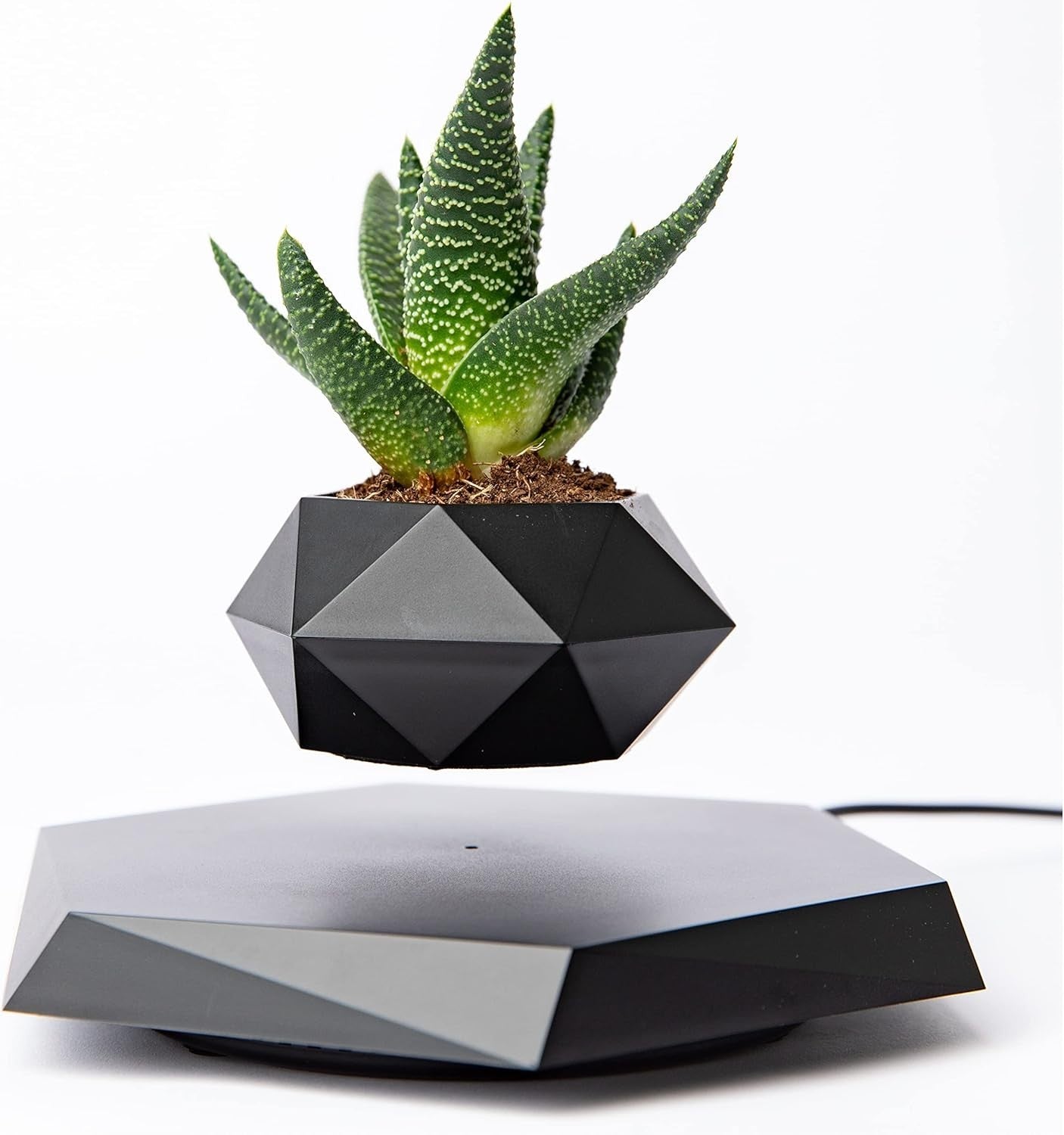 Levitating Plant Pot - Floating Plant Pot for Small Plants. Levitatin