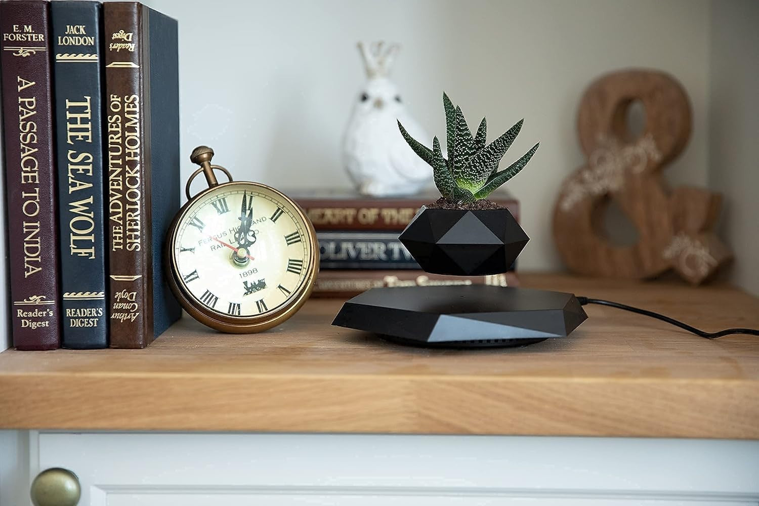 Levitating Plant Pot - Floating Plant Pot for Small Plants. Levitatin