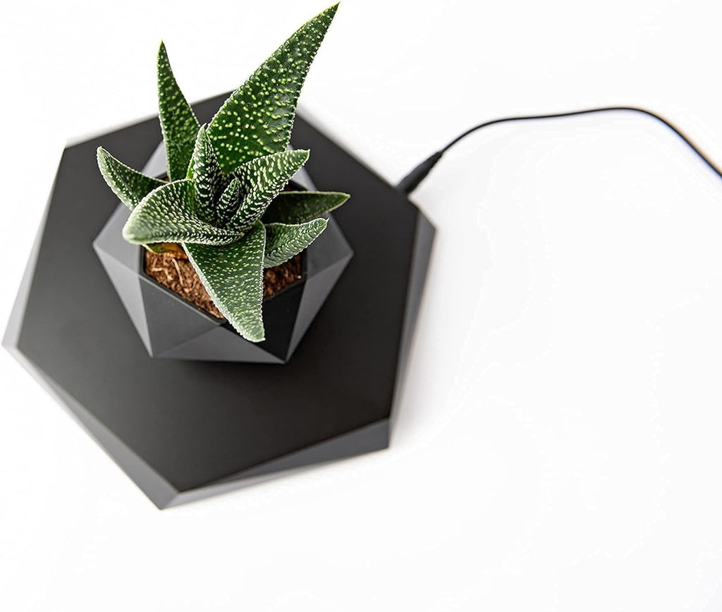 Levitating Plant Pot - Floating Plant Pot for Small Plants. Levitatin