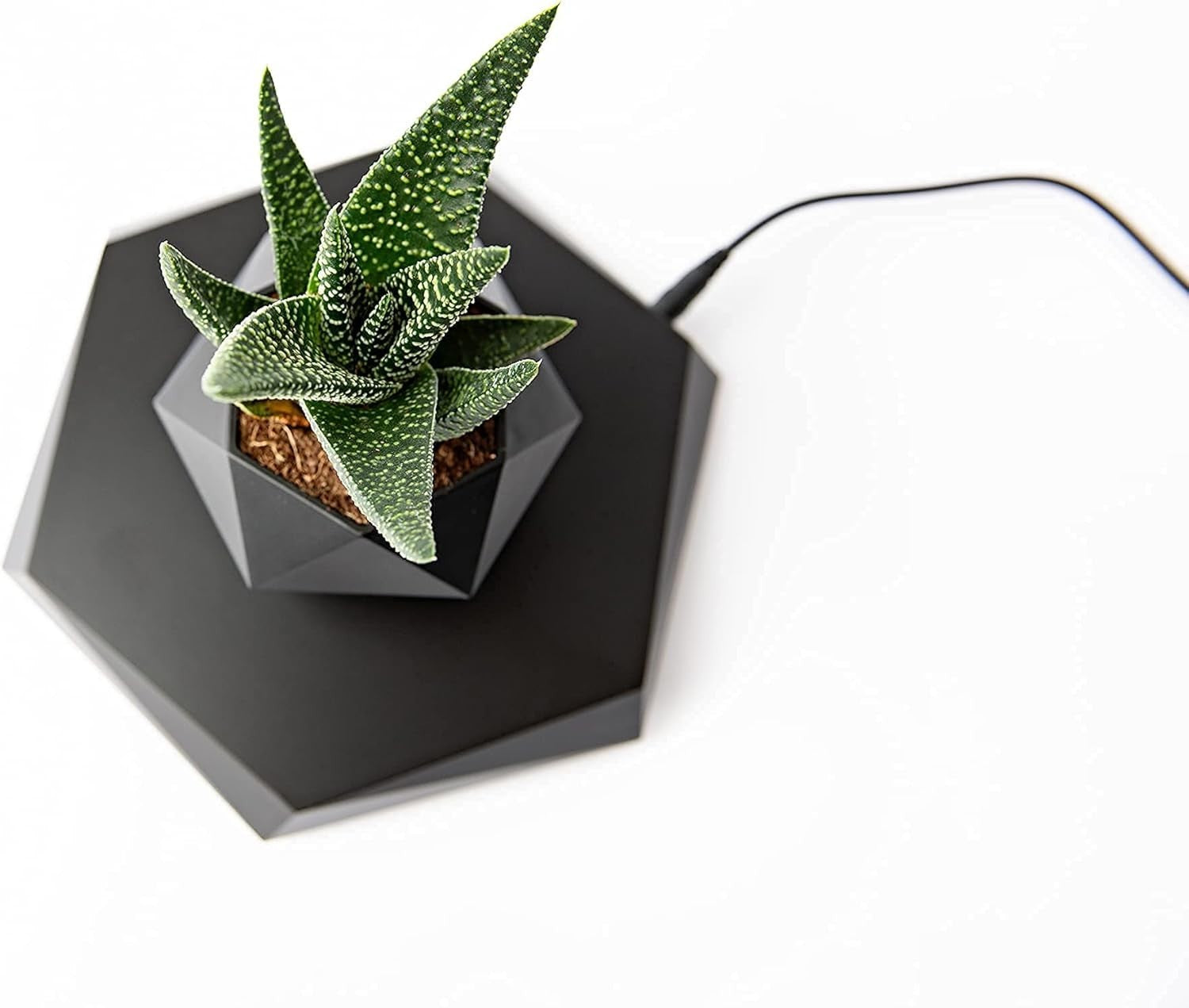 Levitating Plant Pot - Floating Plant Pot for Small Plants. Levitatin